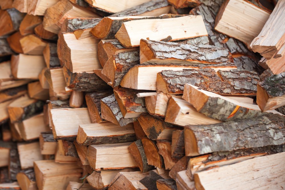 The Best Types of Wood to Season for Home Use
